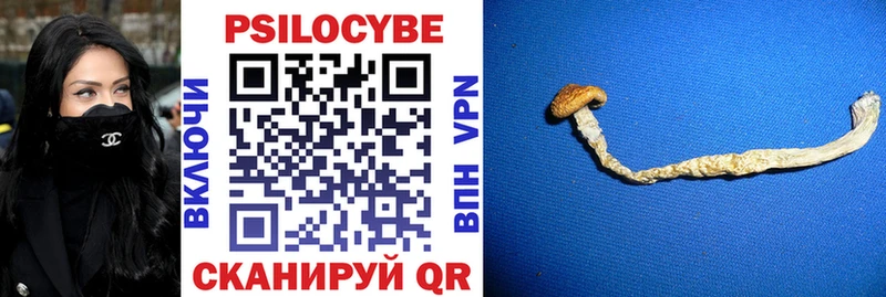 продажа наркотиков  Белебей  Галлюциногенные грибы Cubensis 
